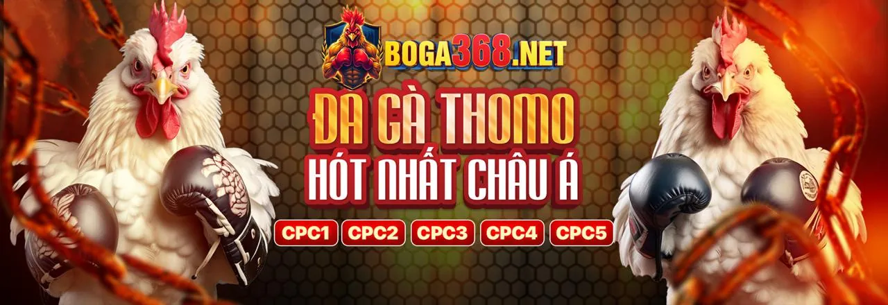 Sòng bạc trực tuyến VIPWIN Nhà Cái 2026