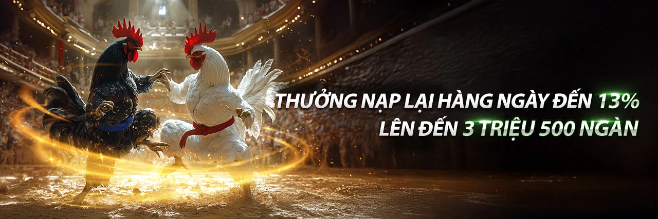 Hình ảnh chính của Blog VIPWIN Nhà Cái với chủ đề cá cược trực tuyến