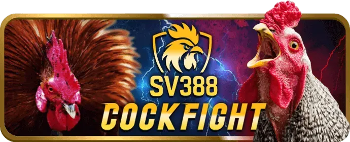 Cá cược quần vợt tại VIPWIN